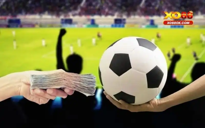 K-Sports Xo88 - Toàn Diện Về Sảnh Cá Cược Thể Thao Đỉnh Cao